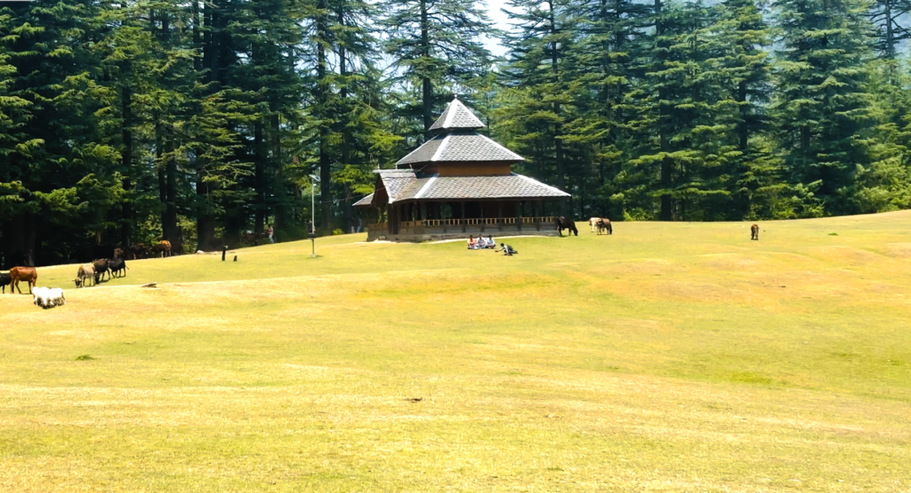 Things you do when you reach shangarh valley